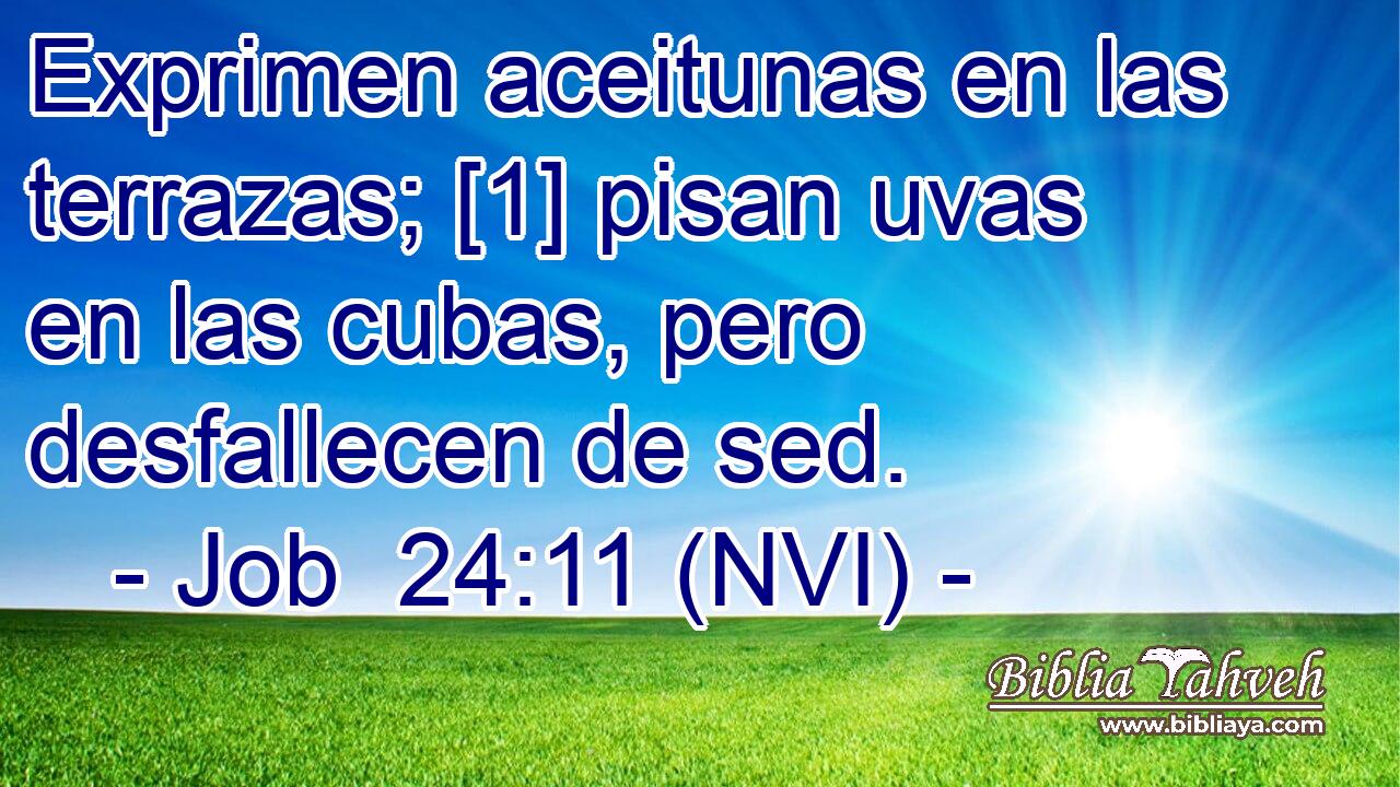  Exprimen aceitunas en las terrazas; [1] pisan uvas en las cubas, pero desfallecen de sed. 