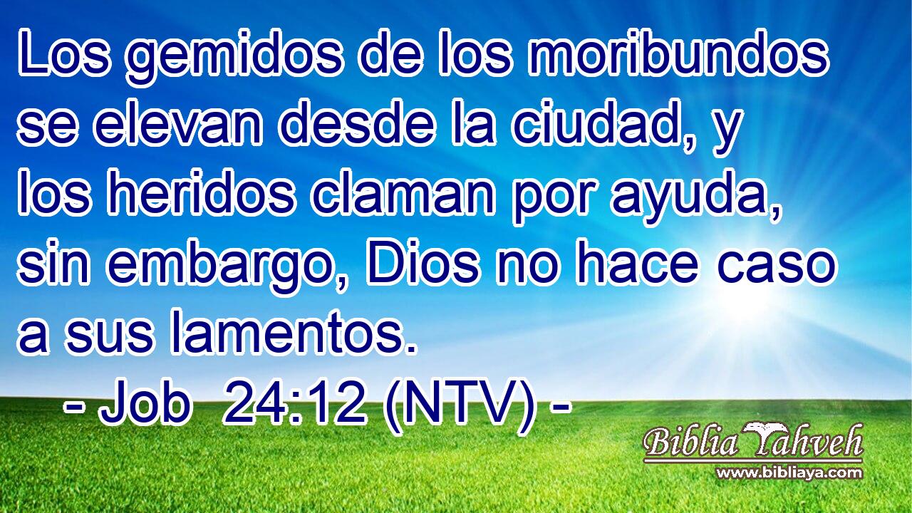 Los gemidos de los moribundos se elevan desde la ciudad, y los heridos claman por ayuda, sin embargo, Dios no hace caso a sus lamentos.