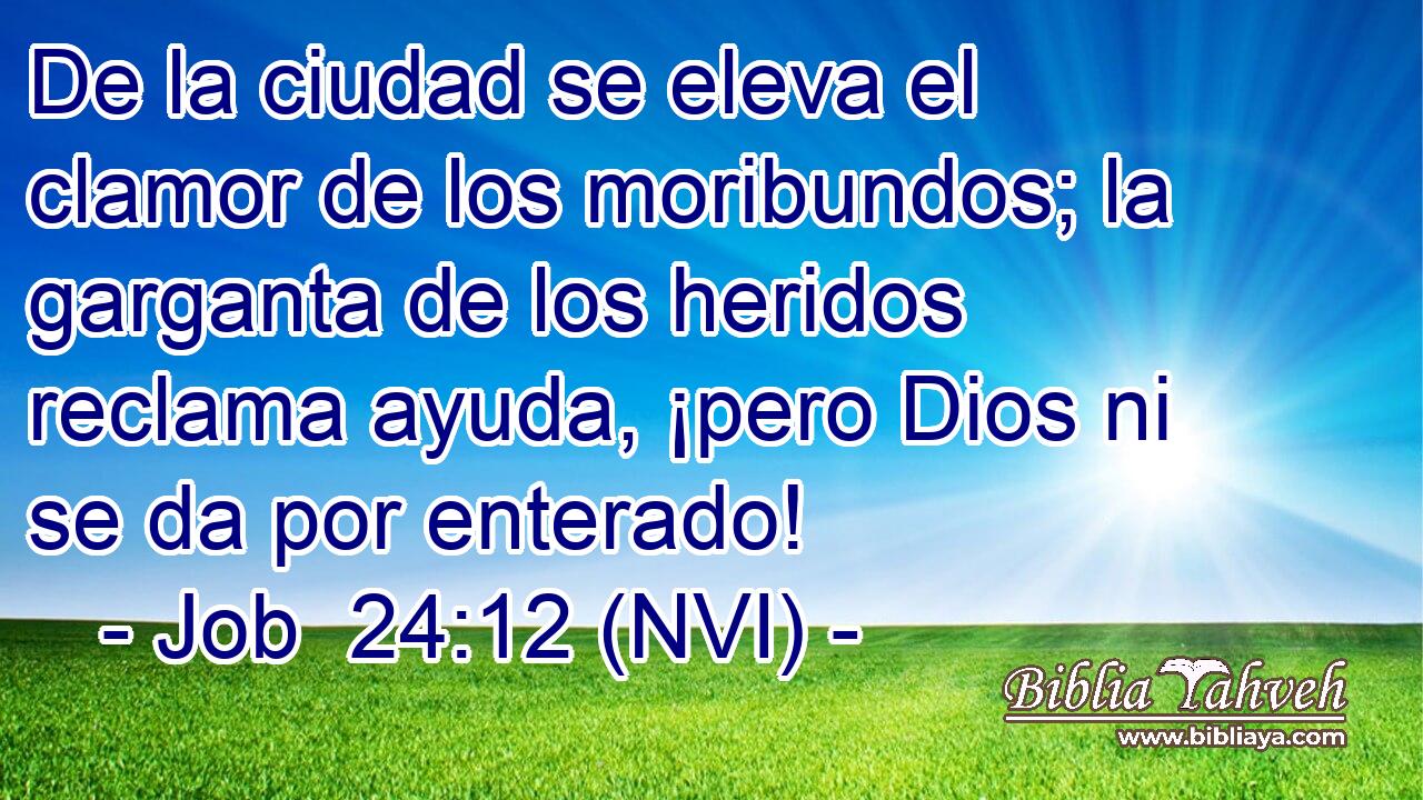  De la ciudad se eleva el clamor de los moribundos; la garganta de los heridos reclama ayuda, ¡pero Dios ni se da por enterado! 