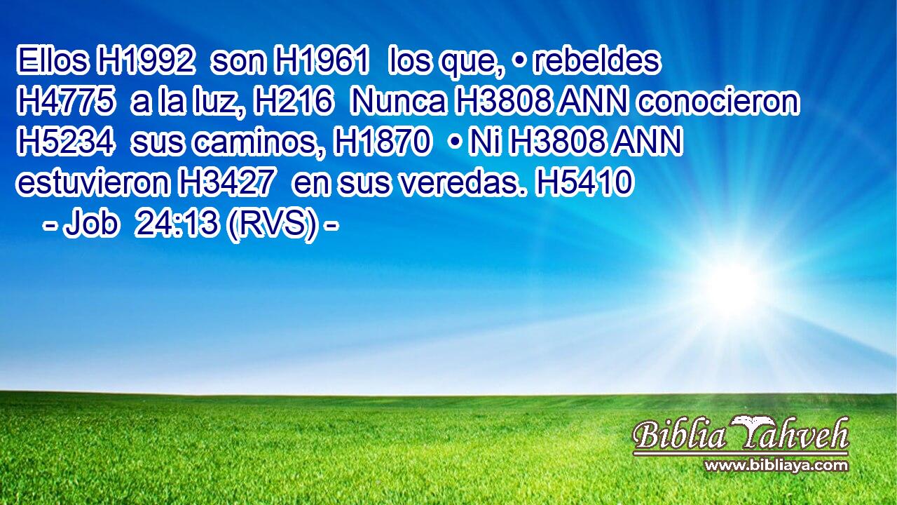 Ellos H1992  son H1961  los que, • rebeldes H4775  a la luz, H216  Nunca H3808 ANN conocieron H5234  sus caminos, H1870  • Ni H3808 ANN estuvieron H3427  en sus veredas. H5410  