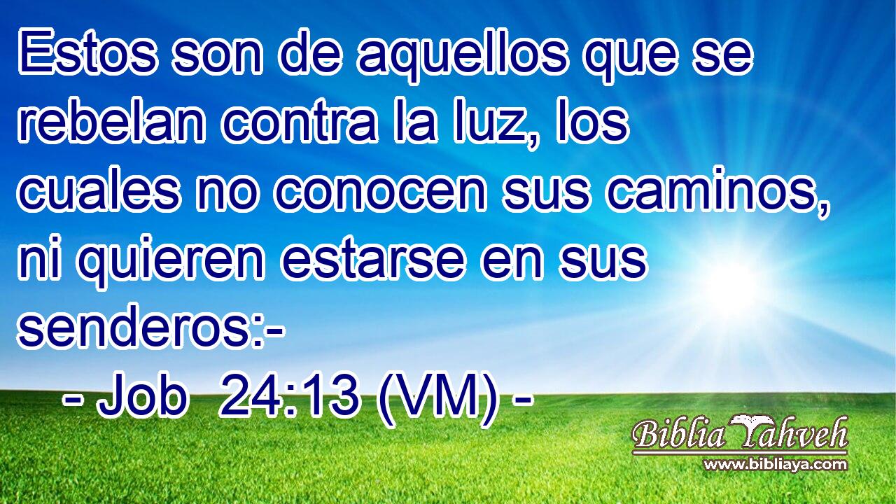  Estos son de aquellos que se rebelan contra la luz, los cuales no conocen sus caminos, ni quieren estarse en sus senderos:- 