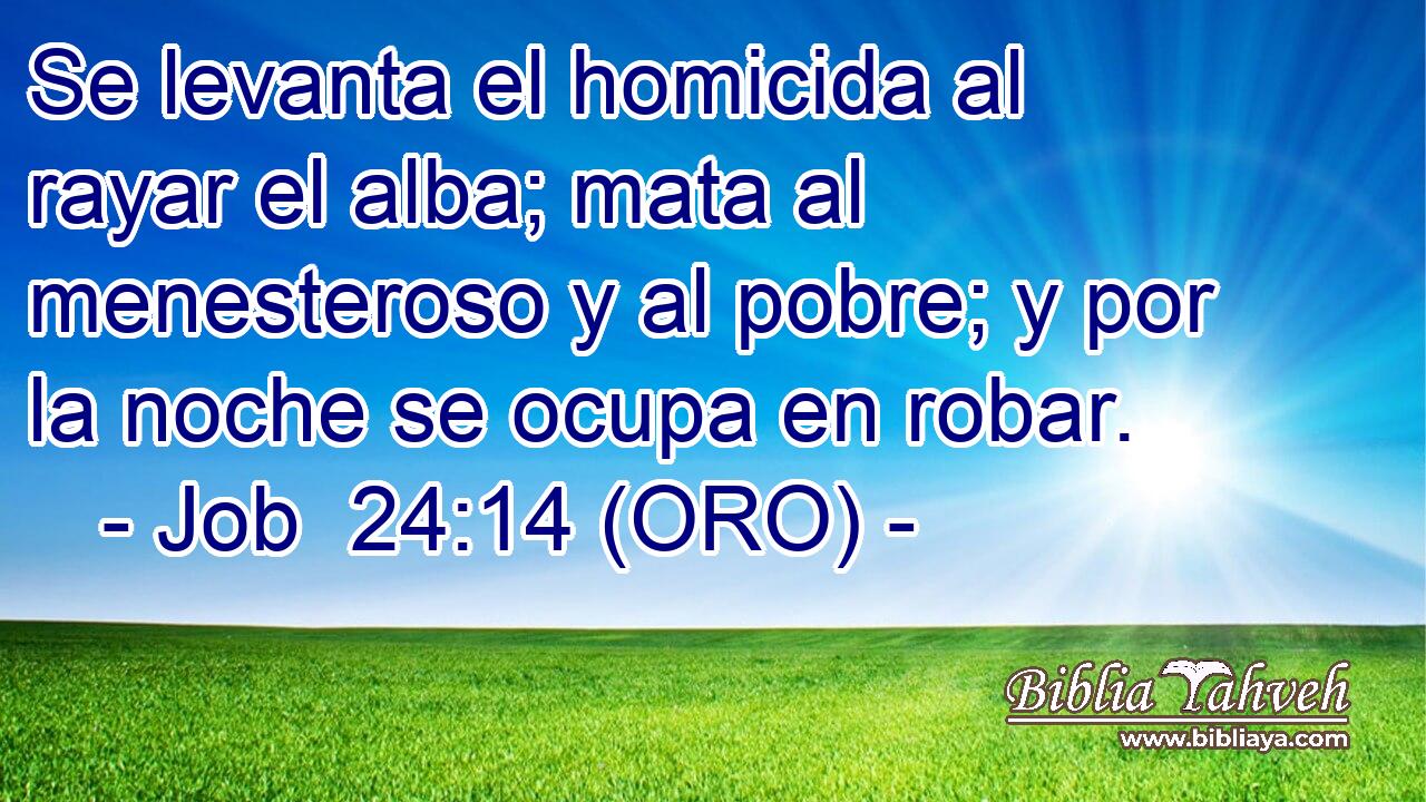  Se levanta el homicida al rayar el alba; mata al menesteroso y al pobre; y por la noche se ocupa en robar. 