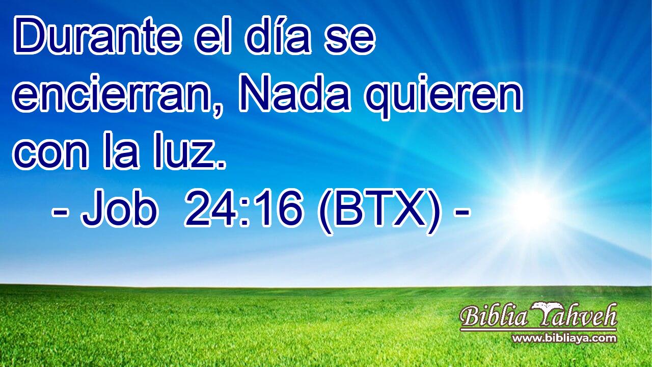 Durante el día se encierran, Nada quieren con la luz.
