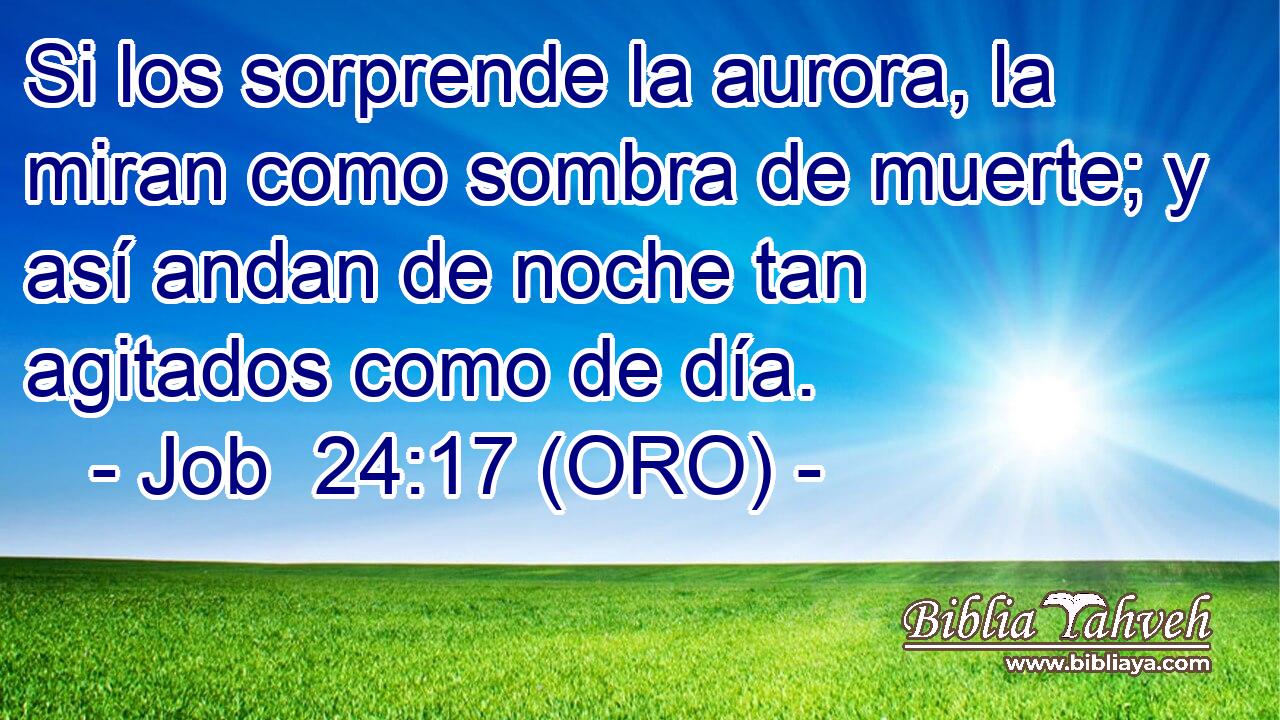  Si los sorprende la aurora, la miran como sombra de muerte; y así andan de noche tan agitados como de día. 