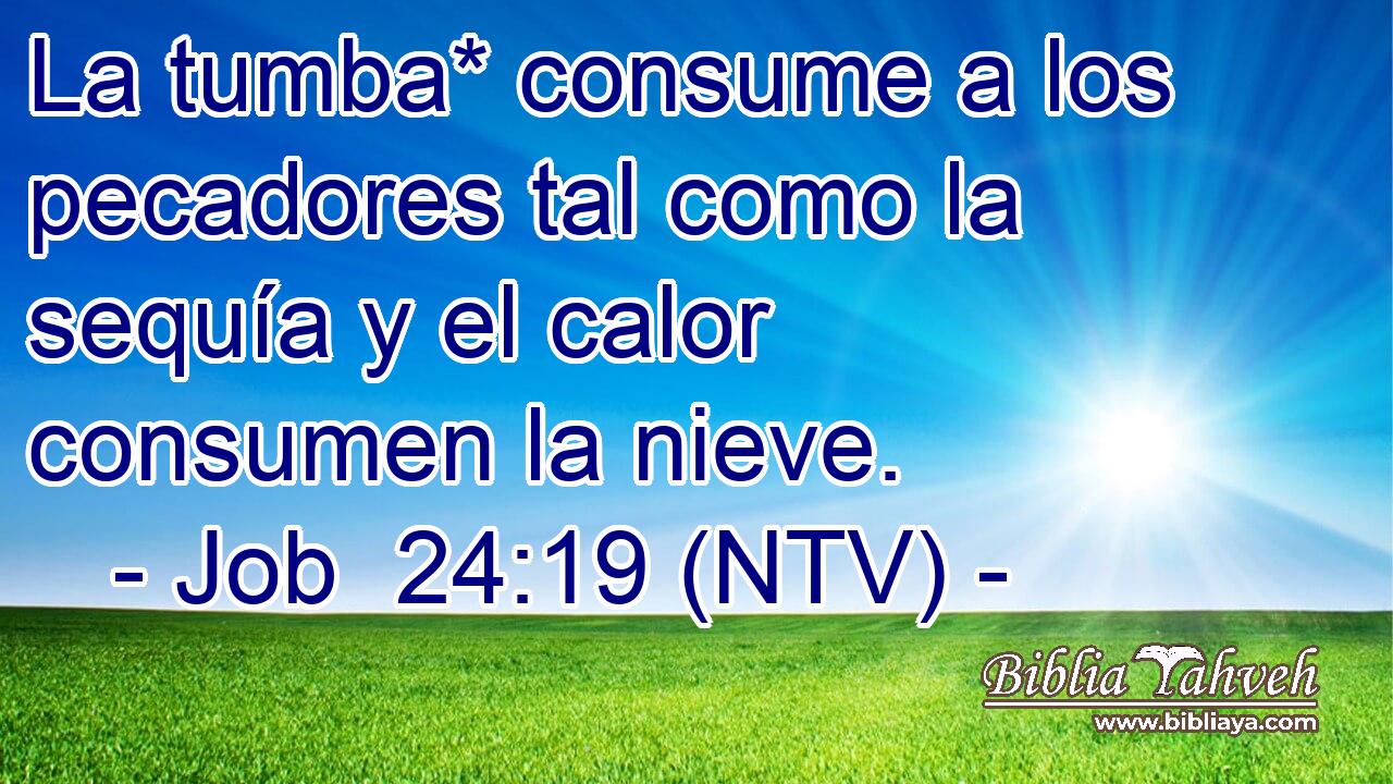 La tumba* consume a los pecadores tal como la sequía y el calor consumen la nieve.