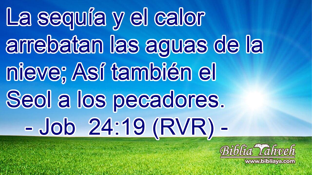 La sequía y el calor arrebatan las aguas de la nieve; Así también el Seol a los pecadores.