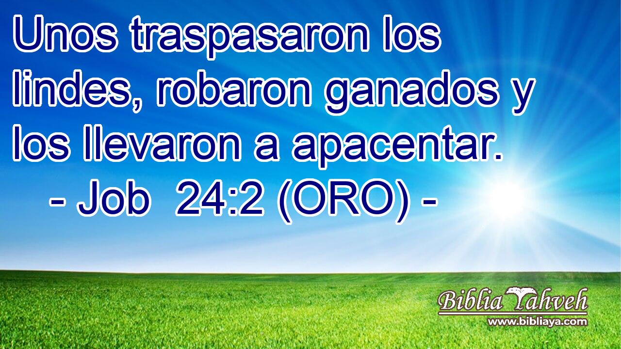  Unos traspasaron los lindes, robaron ganados y los llevaron a apacentar. 
