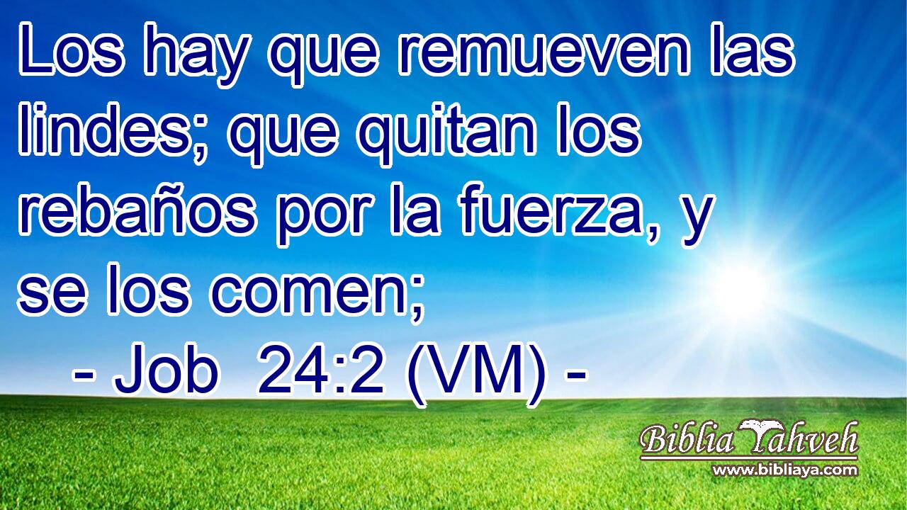  Los hay que remueven las lindes; que quitan los rebaños por la fuerza, y se los comen; 