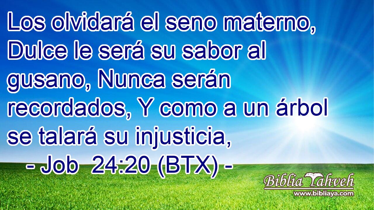 Los olvidará el seno materno, Dulce le será su sabor al gusano, Nunca serán recordados, Y como a un árbol se talará su injusticia,