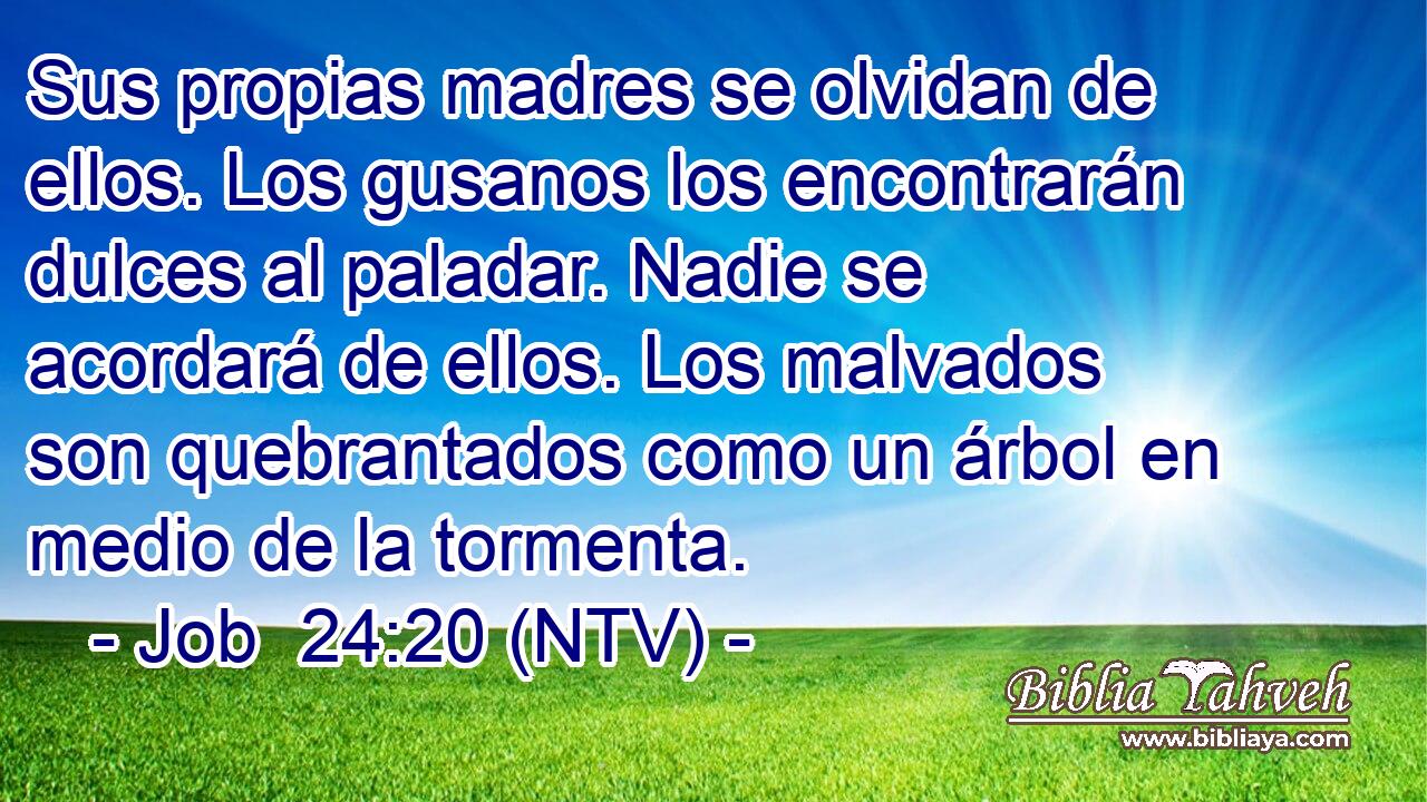 Sus propias madres se olvidan de ellos. Los gusanos los encontrarán dulces al paladar. Nadie se acordará de ellos. Los malvados son quebrantados como un árbol en medio de la tormenta.