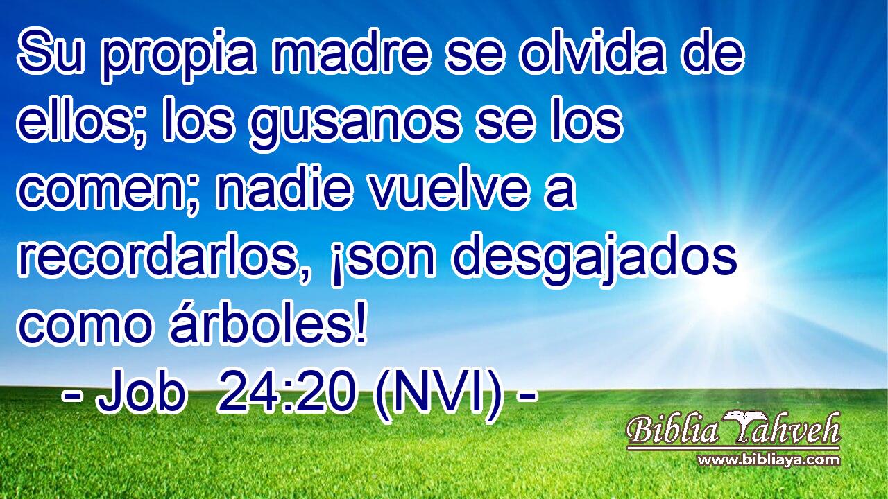  Su propia madre se olvida de ellos; los gusanos se los comen; nadie vuelve a recordarlos, ¡son desgajados como árboles! 