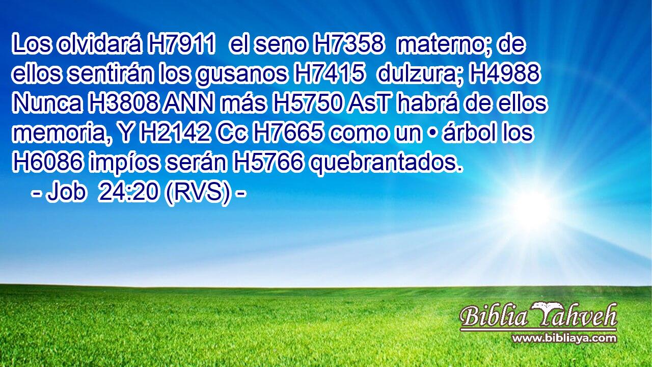 Los olvidará H7911  el seno H7358  materno; de ellos sentirán los gusanos H7415  dulzura; H4988  Nunca H3808 ANN más H5750 AsT habrá de ellos memoria, Y H2142 Cc H7665 como un • árbol los H6086 impíos serán H5766 quebrantados. 