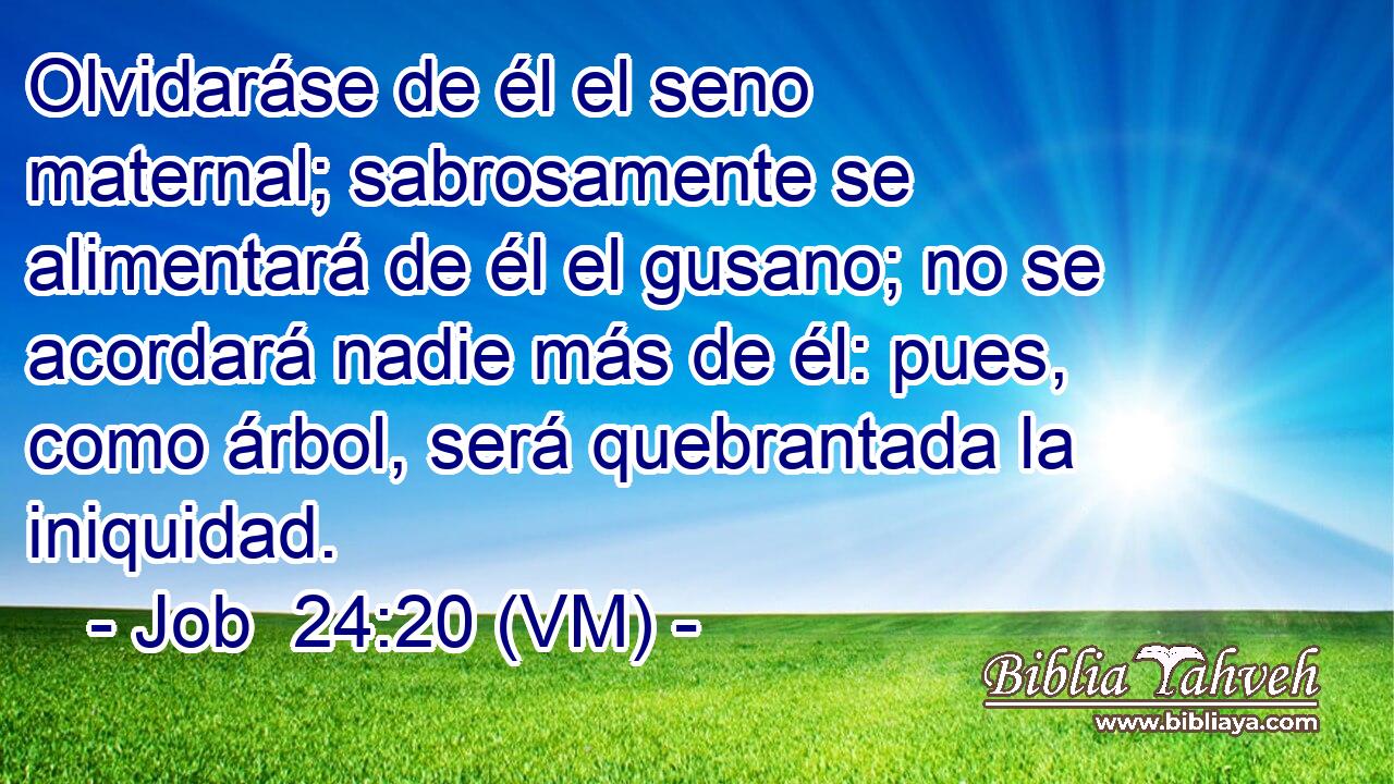  Olvidaráse de él el seno maternal; sabrosamente se alimentará de él el gusano; no se acordará nadie más de él: pues, como árbol, será quebrantada la iniquidad. 