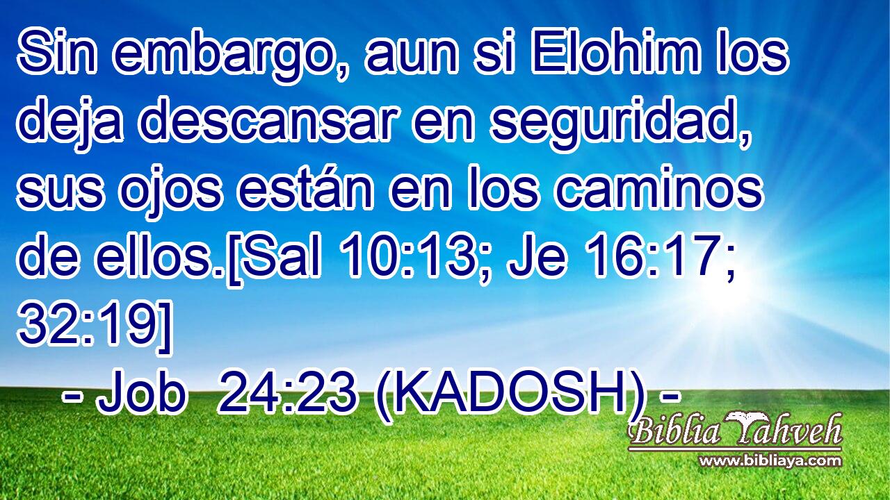  Sin embargo, aun si Elohim los deja descansar en seguridad, sus ojos están en los caminos de ellos.[Sal 10:13; Je 16:17; 32:19] 