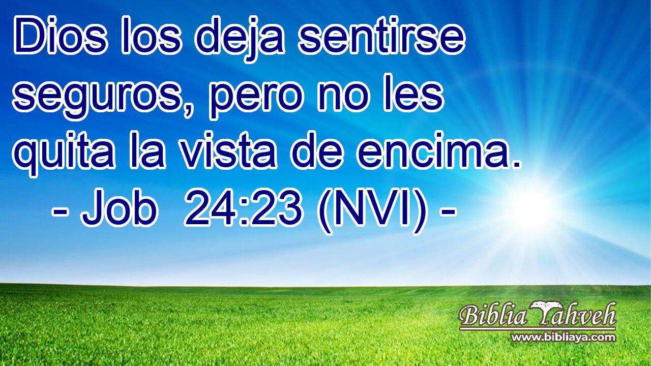  Dios los deja sentirse seguros, pero no les quita la vista de encima. 