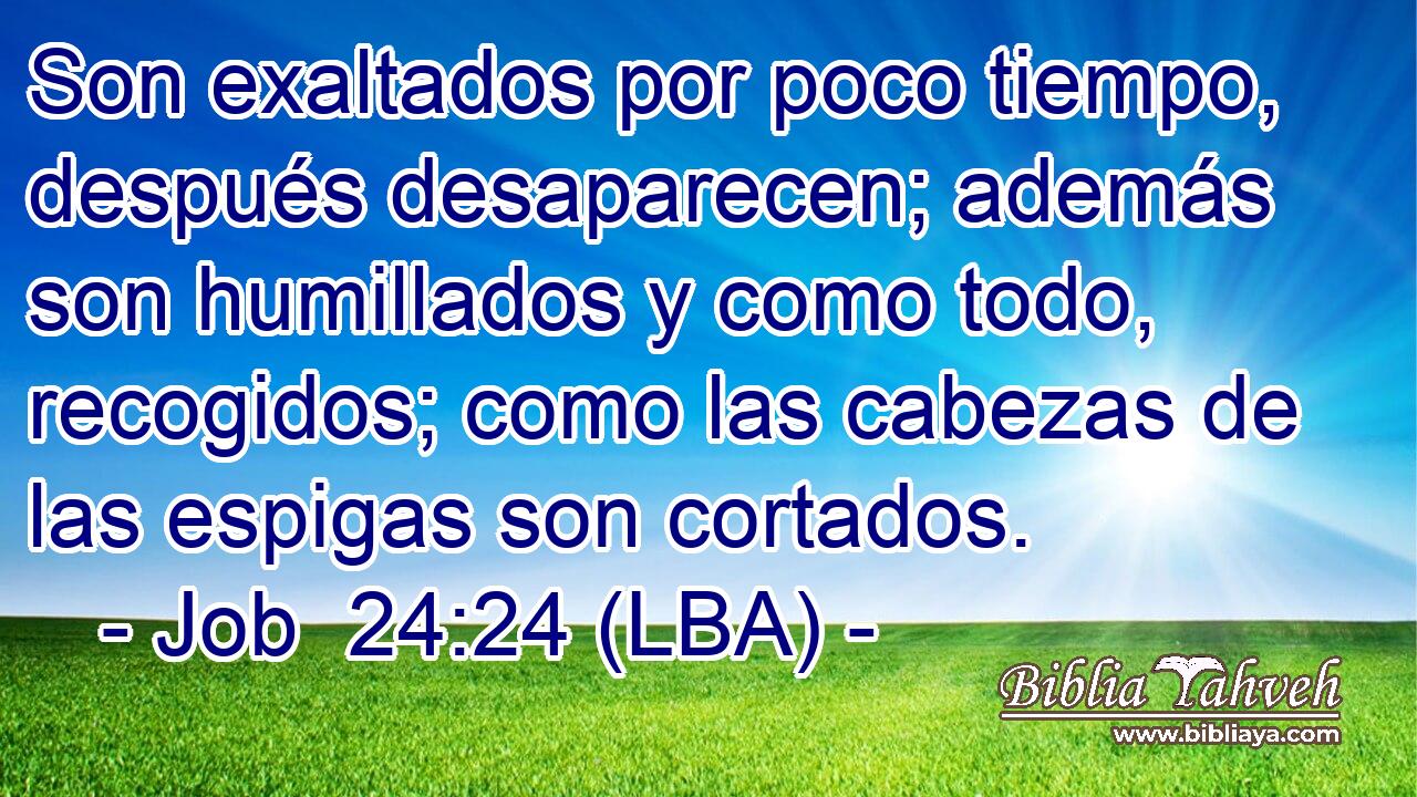 Son exaltados por poco tiempo, después desaparecen; además son humillados y como todo, recogidos; como las cabezas de las espigas son cortados.