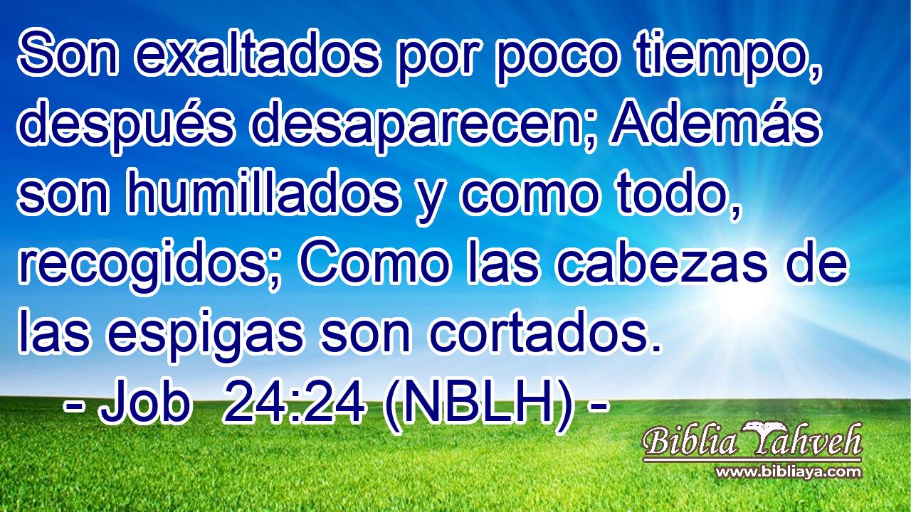 Son exaltados por poco tiempo, después desaparecen; Además son humillados y como todo, recogidos; Como las cabezas de las espigas son cortados. 