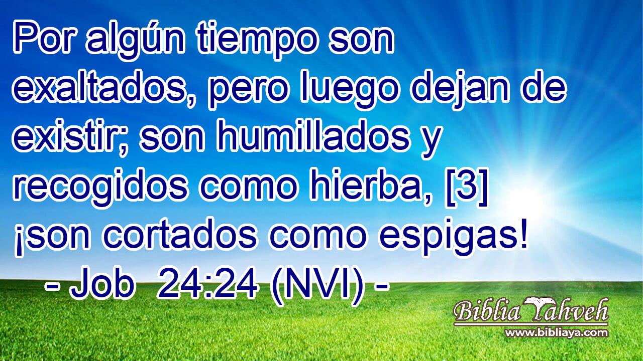 Por algún tiempo son exaltados, pero luego dejan de existir; son humillados y recogidos como hierba, [3] ¡son cortados como espigas! 