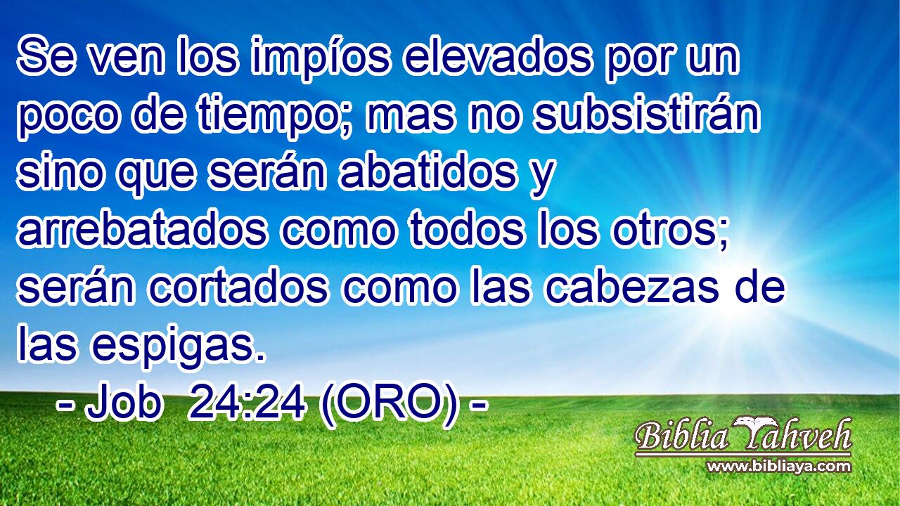  Se ven los impíos elevados por un poco de tiempo; mas no subsistirán sino que serán abatidos y arrebatados como todos los otros; serán cortados como las cabezas de las espigas. 