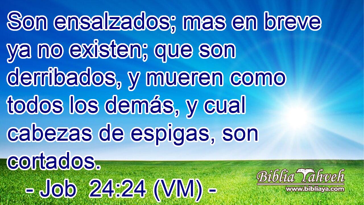  Son ensalzados; mas en breve ya no existen; que son derribados, y mueren como todos los demás, y cual cabezas de espigas, son cortados. 