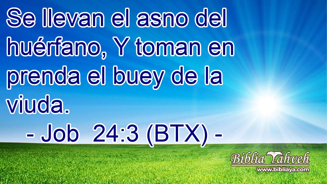 Se llevan el asno del huérfano, Y toman en prenda el buey de la viuda.