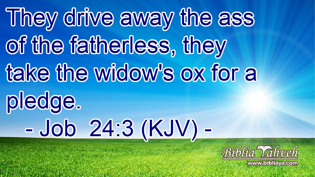 They drive away the ass of the fatherless, they take the widow's ox for a pledge.