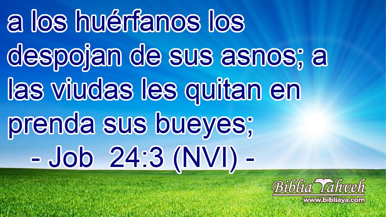  a los huérfanos los despojan de sus asnos; a las viudas les quitan en prenda sus bueyes; 