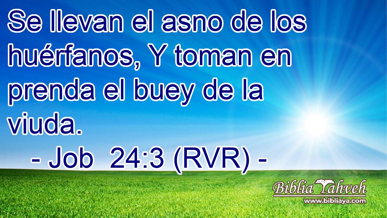 Se llevan el asno de los huérfanos, Y toman en prenda el buey de la viuda.