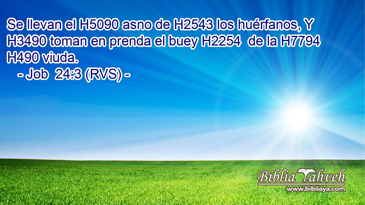 Se llevan el H5090 asno de H2543 los huérfanos, Y H3490 toman en prenda el buey H2254  de la H7794 H490 viuda. 