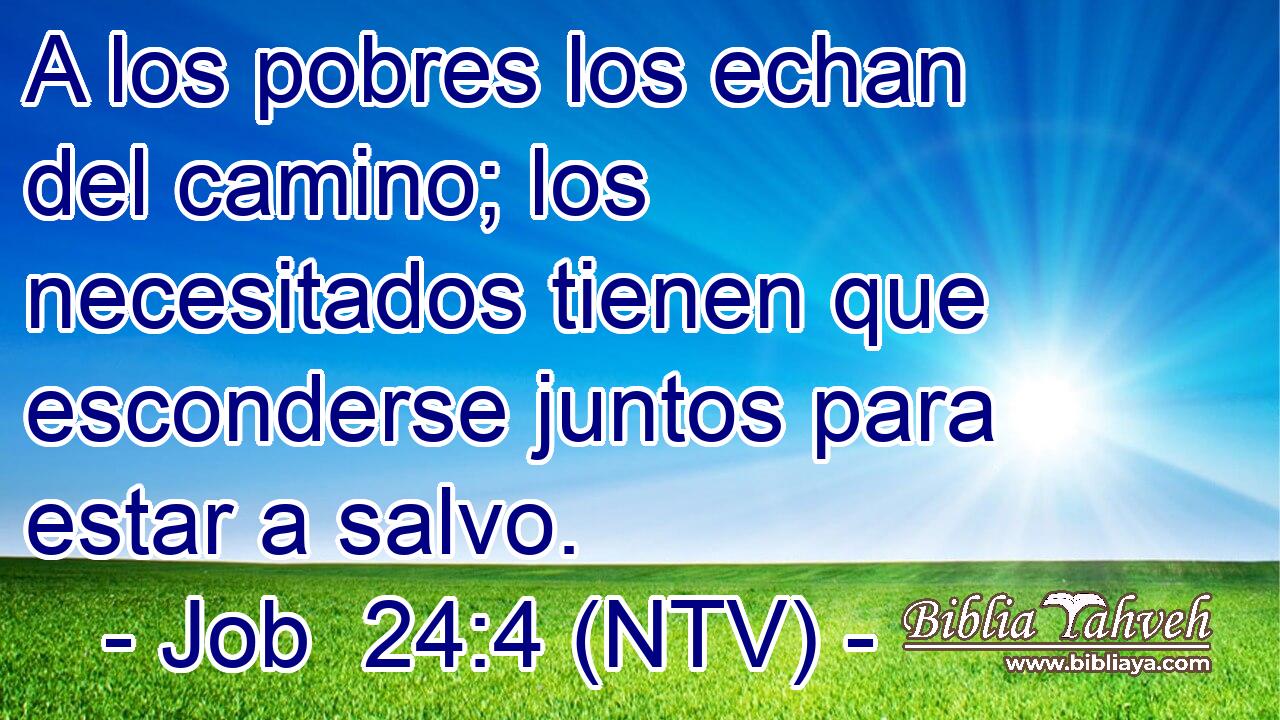 A los pobres los echan del camino; los necesitados tienen que esconderse juntos para estar a salvo.