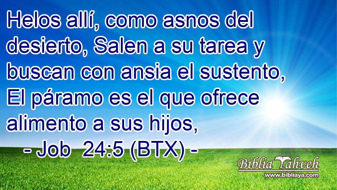 Helos allí, como asnos del desierto, Salen a su tarea y buscan con ansia el sustento, El páramo es el que ofrece alimento a sus hijos,
