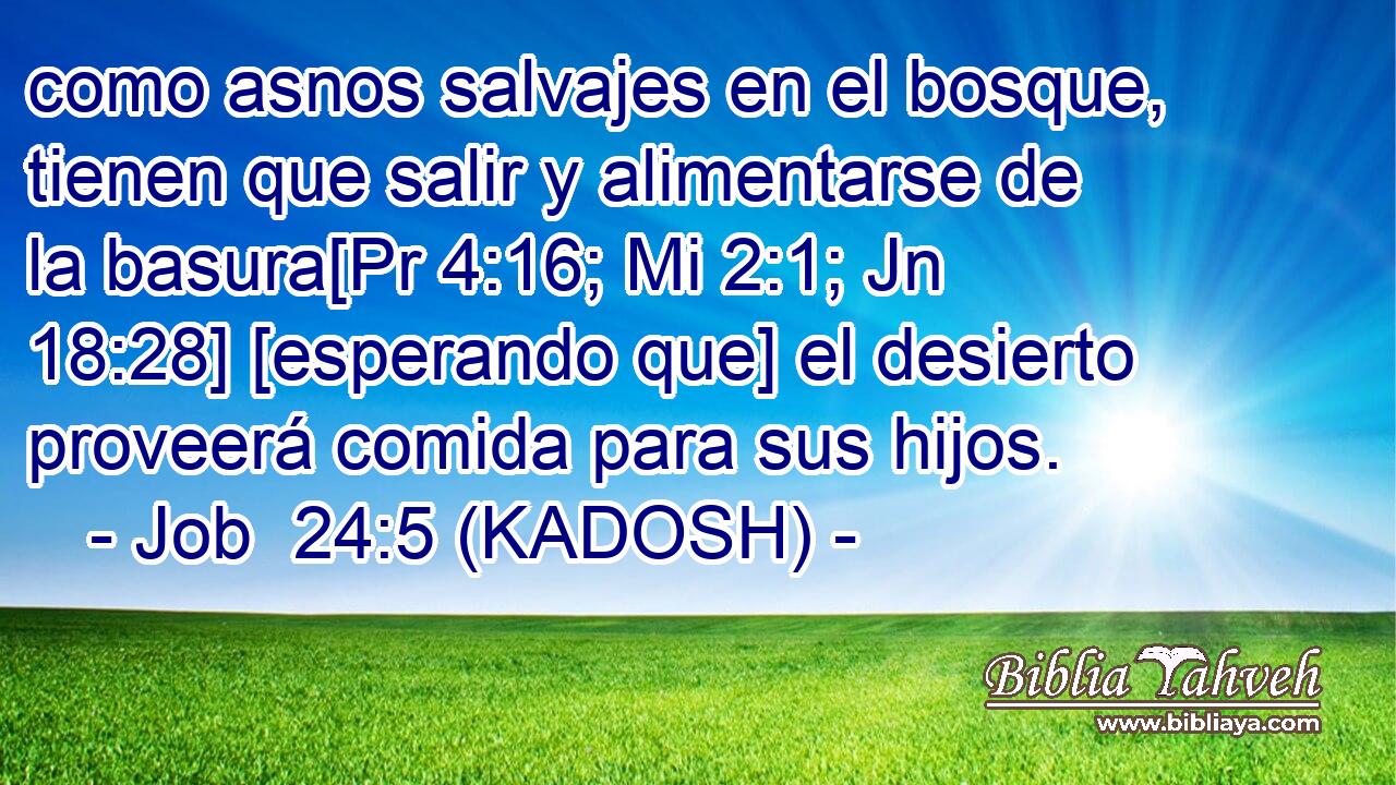  como asnos salvajes en el bosque, tienen que salir y alimentarse de la basura[Pr 4:16; Mi 2:1; Jn 18:28] [esperando que] el desierto proveerá comida para sus hijos. 