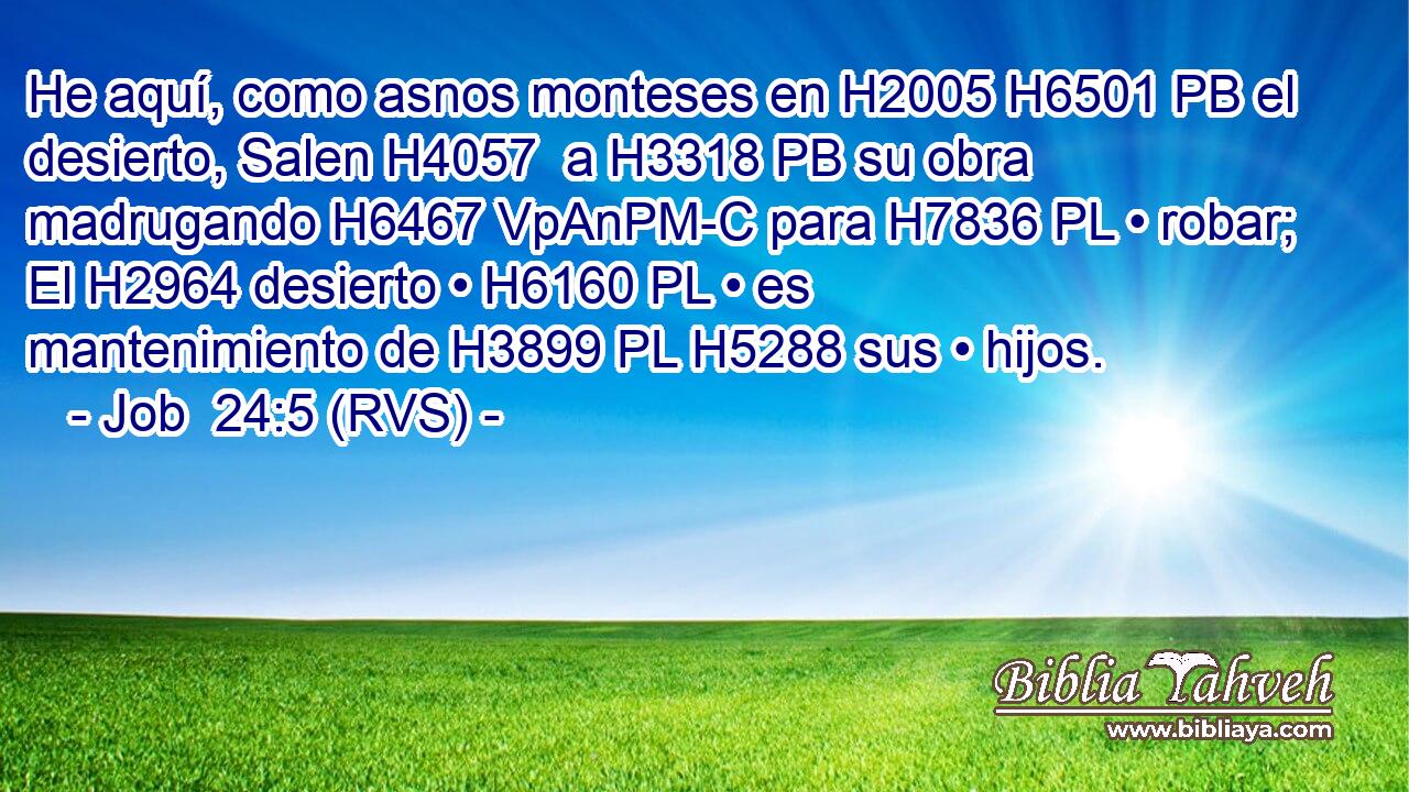 He aquí, como asnos monteses en H2005 H6501 PB el desierto, Salen H4057  a H3318 PB su obra madrugando H6467 VpAnPM-C para H7836 PL • robar; El H2964 desierto • H6160 PL • es mantenimiento de H3899 PL H5288 sus • hijos. 
