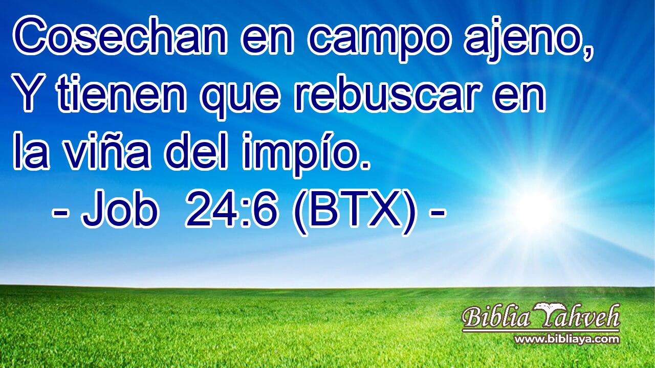 Cosechan en campo ajeno, Y tienen que rebuscar en la viña del impío.