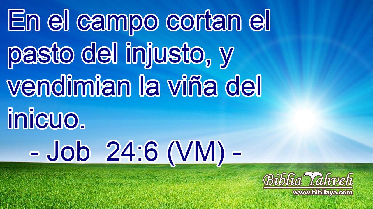  En el campo cortan el pasto del injusto, y vendimian la viña del inicuo. 