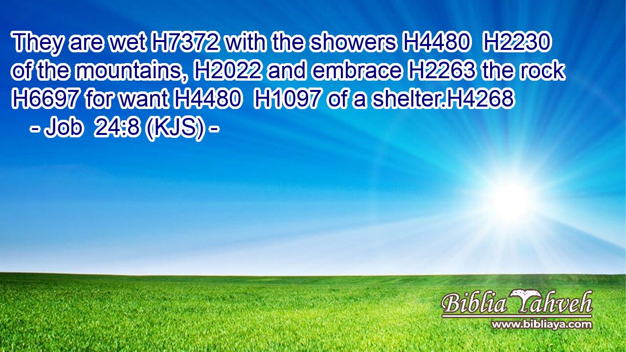 They are wet H7372 with the showers H4480  H2230 of the mountains, H2022 and embrace H2263 the rock H6697 for want H4480  H1097 of a shelter.H4268