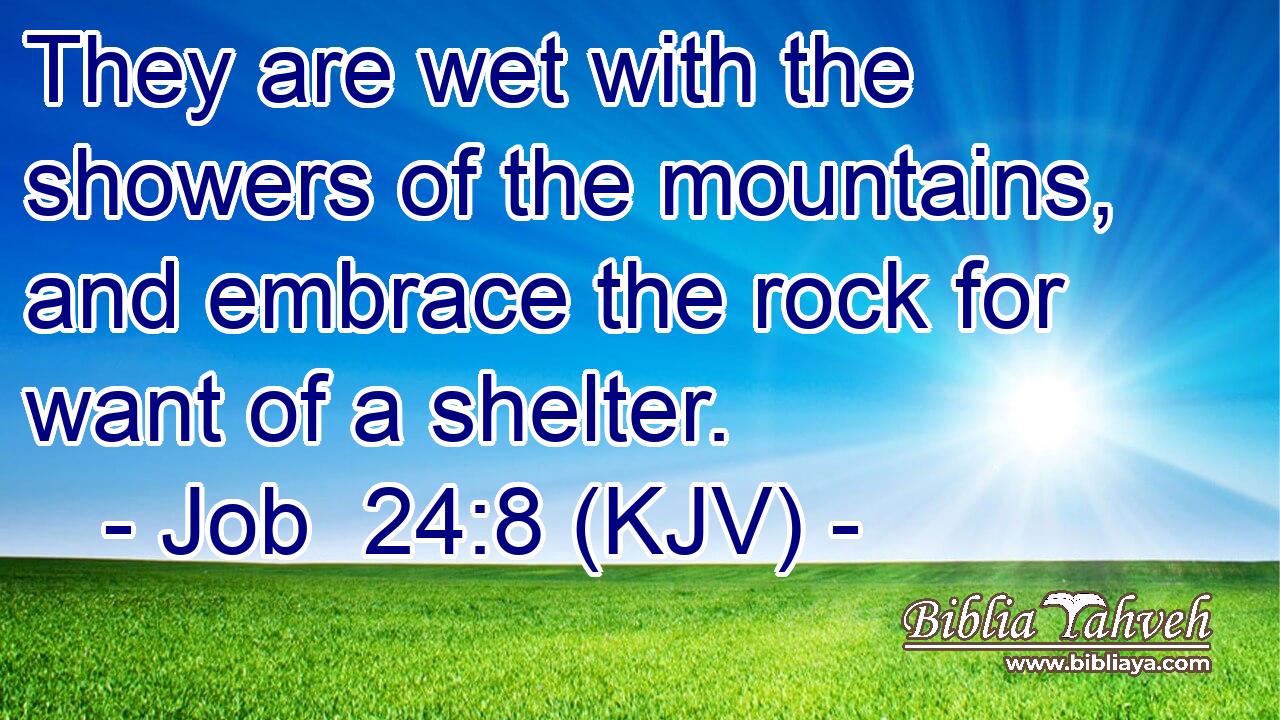 They are wet with the showers of the mountains, and embrace the rock for want of a shelter.