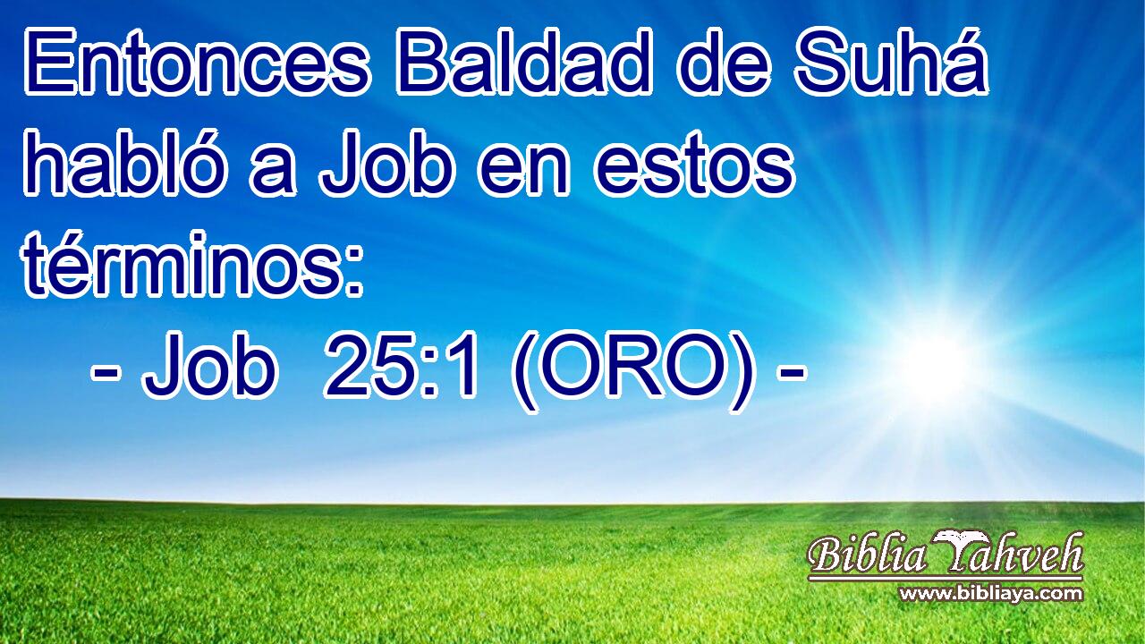 Entonces Baldad de Suhá habló a Job en estos términos: 
