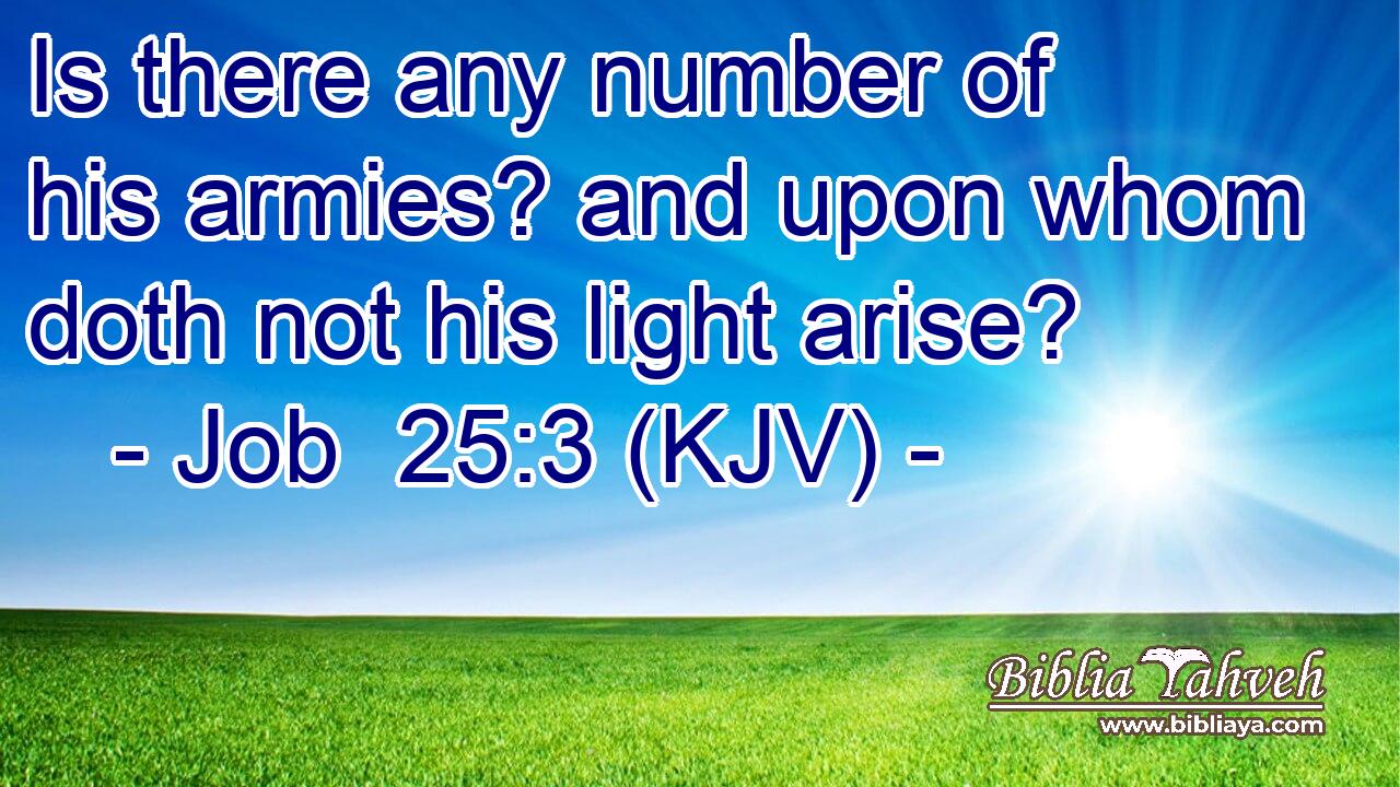 Is there any number of his armies? and upon whom doth not his light arise?
