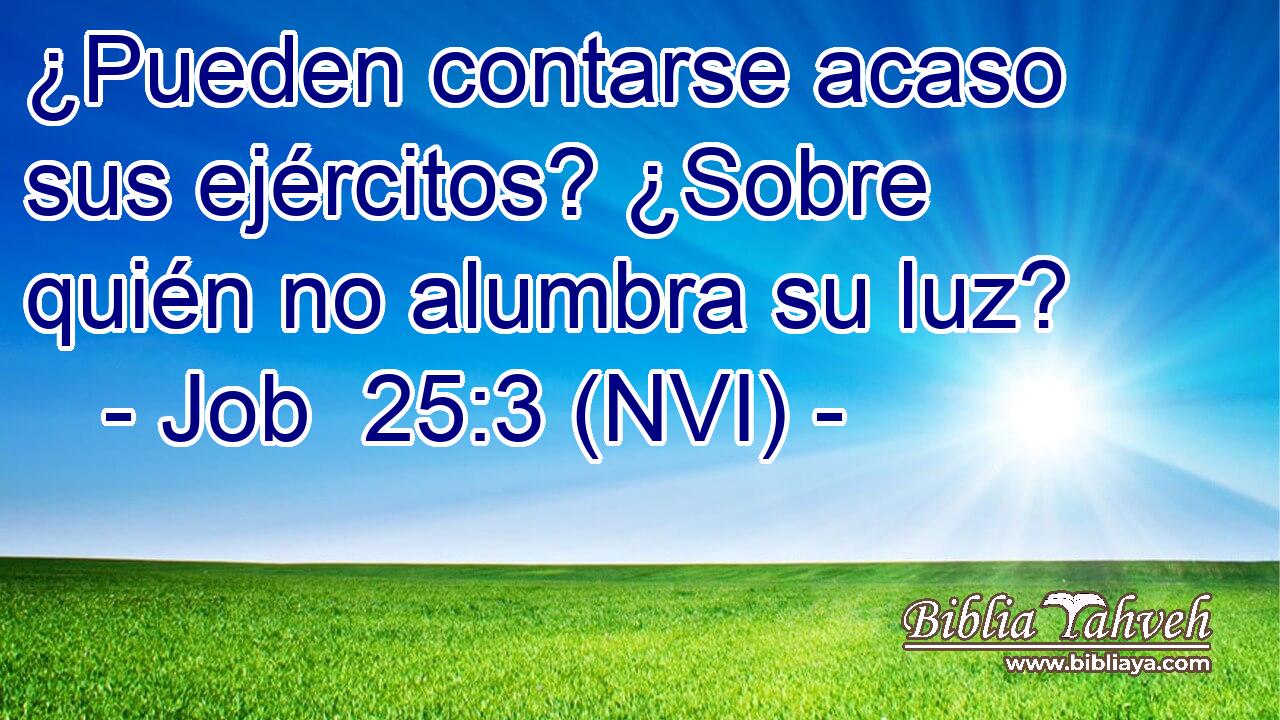  ¿Pueden contarse acaso sus ejércitos? ¿Sobre quién no alumbra su luz? 