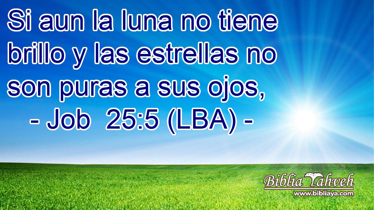 Si aun la luna no tiene brillo y las estrellas no son puras a sus ojos,