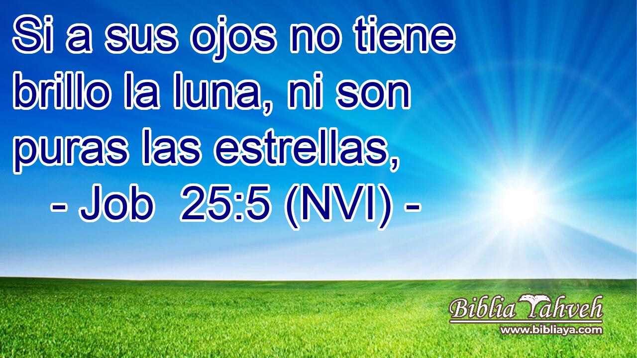  Si a sus ojos no tiene brillo la luna, ni son puras las estrellas, 