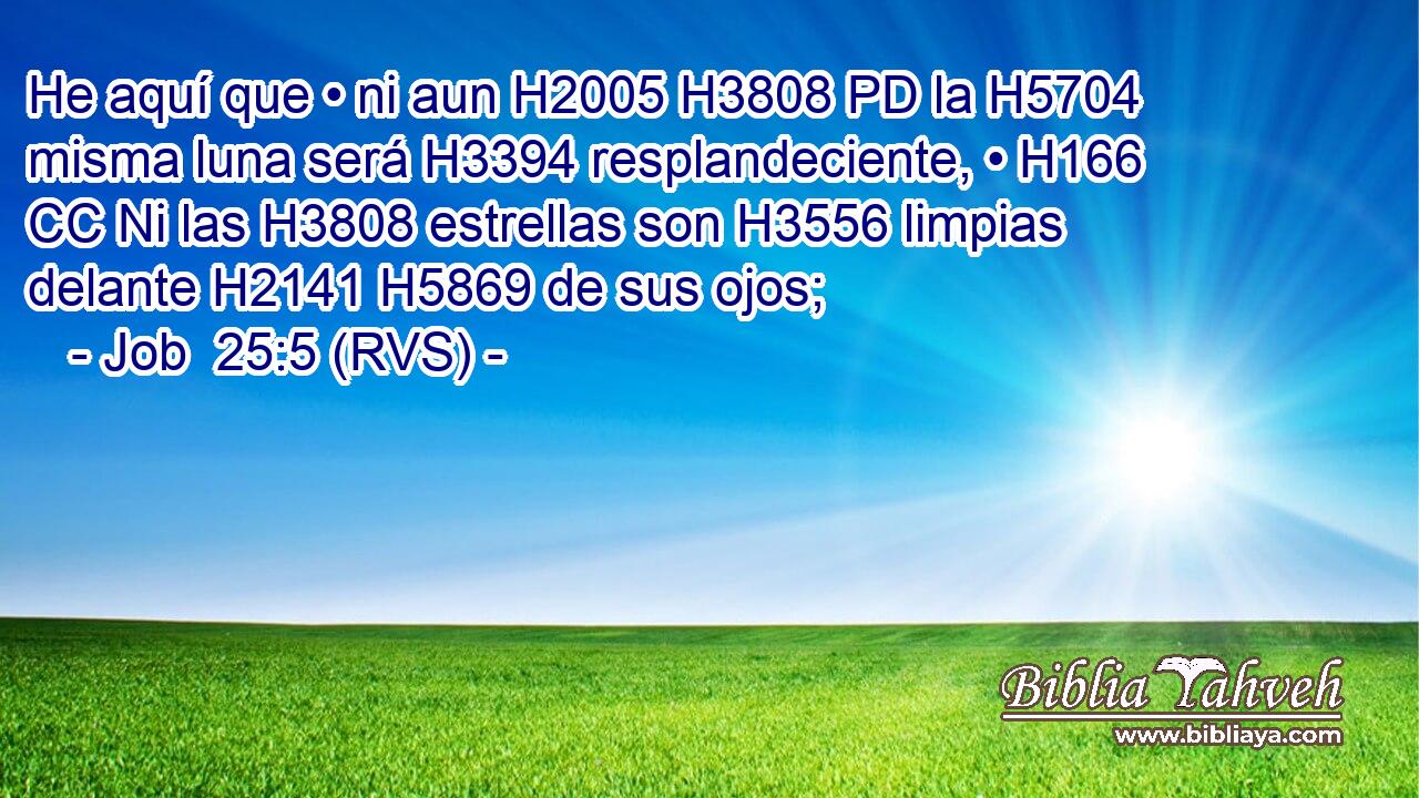 He aquí que • ni aun H2005 H3808 PD la H5704 misma luna será H3394 resplandeciente, • H166 CC Ni las H3808 estrellas son H3556 limpias delante H2141 H5869 de sus ojos; 