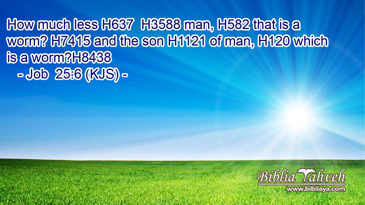 How much less H637  H3588 man, H582 that is a worm? H7415 and the son H1121 of man, H120 which is a worm?H8438