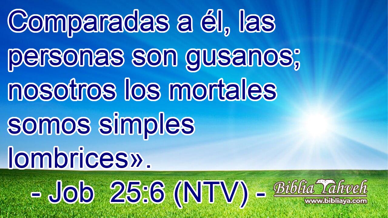 Comparadas a él, las personas son gusanos; nosotros los mortales somos simples lombrices».