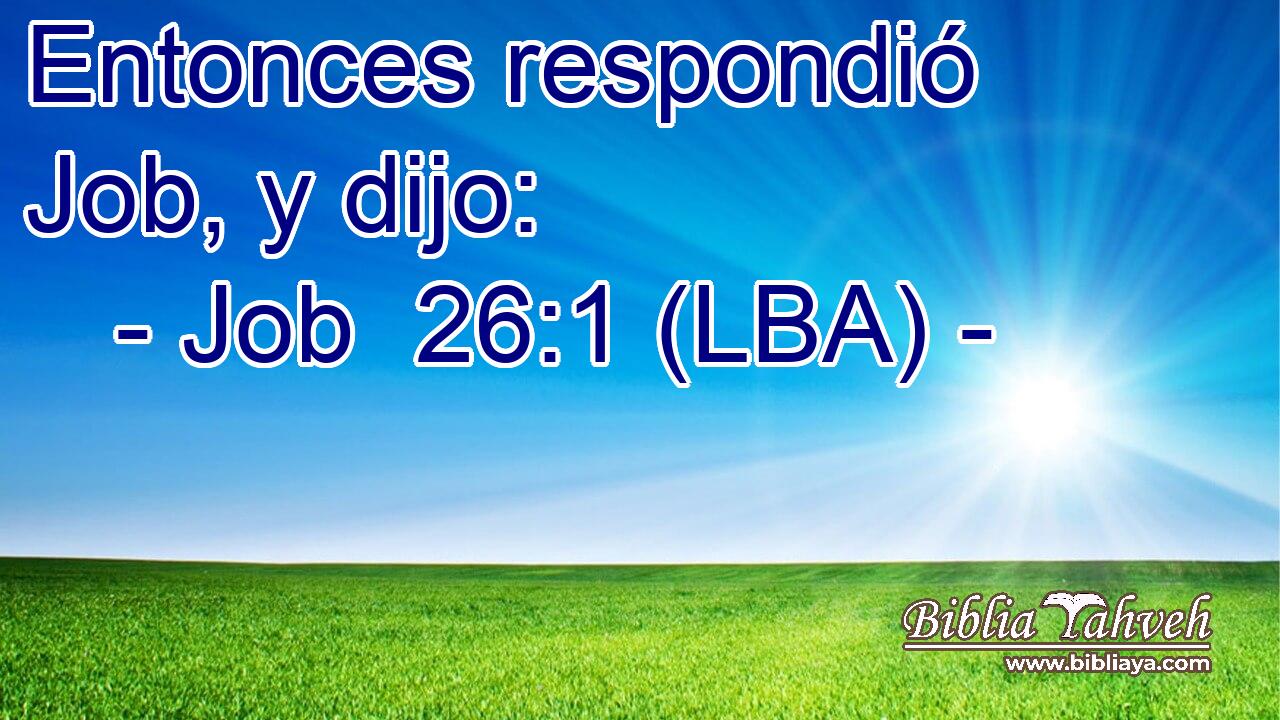 Entonces respondió Job, y dijo: