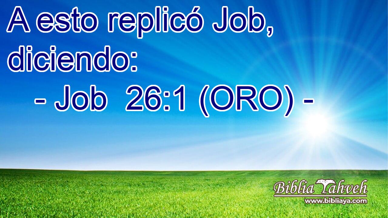  A esto replicó Job, diciendo: 