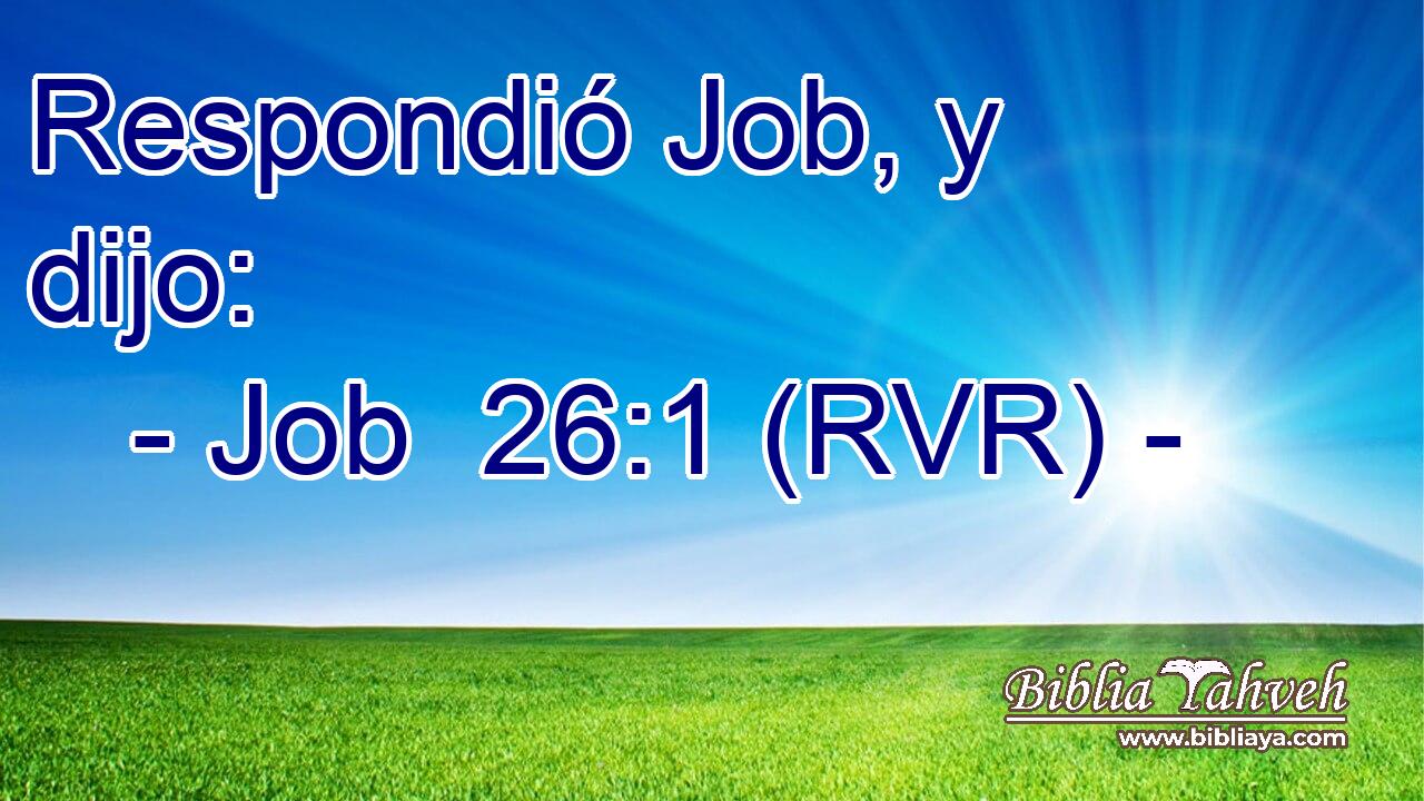 Respondió Job, y dijo: