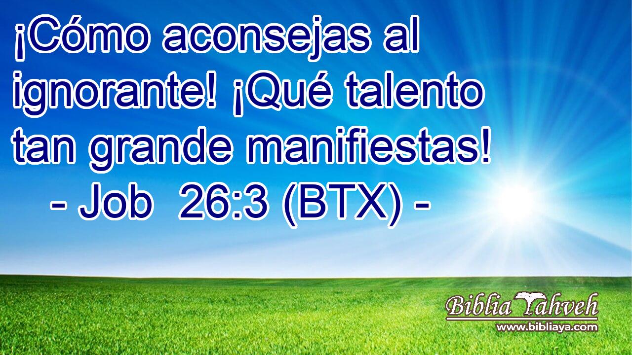 ¡Cómo aconsejas al ignorante! ¡Qué talento tan grande manifiestas!