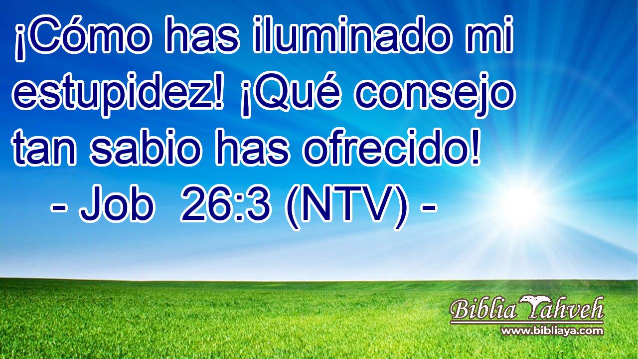 ¡Cómo has iluminado mi estupidez! ¡Qué consejo tan sabio has ofrecido!